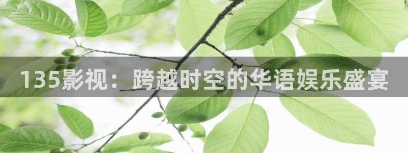 国产浮力影院草草：135影视：跨越时空的华语娱乐盛宴