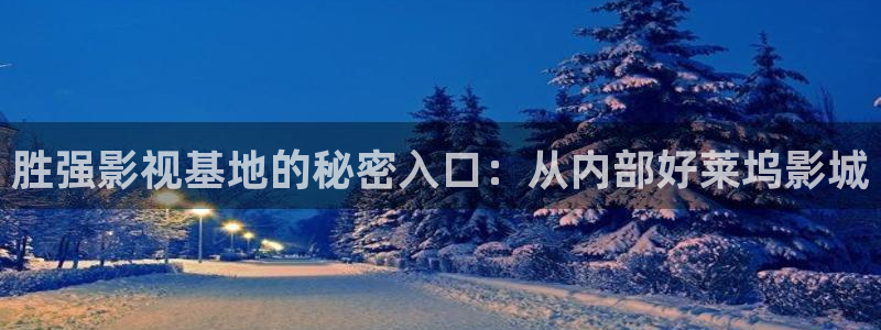 草草影院最新版本：胜强影视基地的秘密入口：从内部好莱坞影城